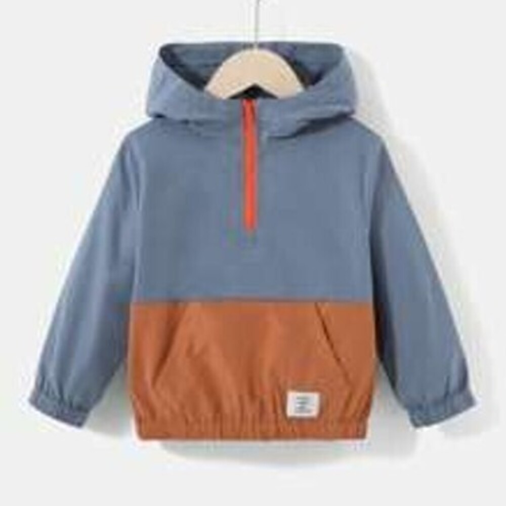 SHEIN Kids EVRYDAY Young Boy Two Tone Letter Patched Detail Half Zip Hooded Jac…